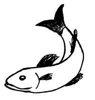 Vorschau /bildersammlung/tiere/fisch/fisch.gif