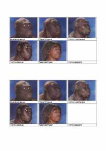 Vorschau themen/altsteinzeit/menschen.pdf