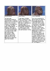 Vorschau themen/altsteinzeit/menschen.pdf