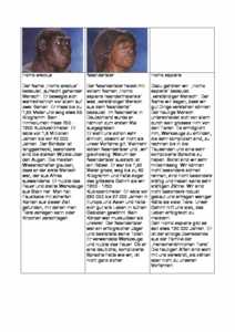 Vorschau themen/altsteinzeit/menschen.pdf